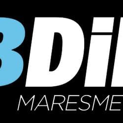 Logo de BDiR Maresme