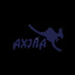 Logo de Axiña Servicios Deportivos
