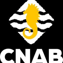 Logo de CLUB NATACIÓ ATLÈTIC-BARCELONETA