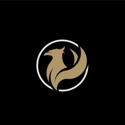 Logo de Igni Gym Studio