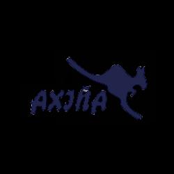 Logo de Axiña Servicios Deportivos