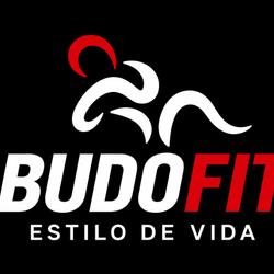 Logo de Budofit